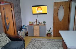 Apartament de vanzare, cu 2 camere, 26.42 mp, zona malul Ariesului