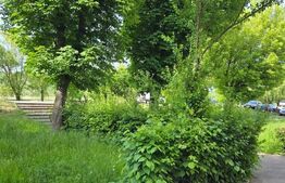 Apartament de vanzare, cu 2 camere, 26.42 mp, zona malul Ariesului