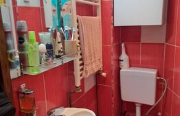 Apartament de vanzare, cu 2 camere, 26.42 mp, zona malul Ariesului