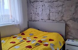 Apartament de vanzare, cu 2 camere, 26.42 mp, zona malul Ariesului