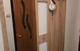 Apartament de vanzare, cu 2 camere, 26.42 mp, zona malul Ariesului