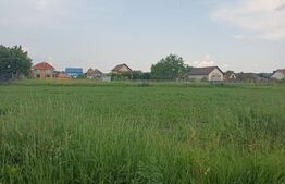 Teren cadastrat, cu CF, 600 mp, in zona Poiana