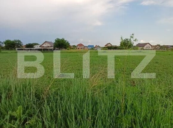 Teren de vânzare Sud-Est - 171830TV | BLITZ Turda | Poza3