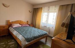 Apartament cu 2 camere, 52 mp, recent renovat, zona Parcul Teilor 