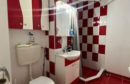 Apartament cu 2 camere, 52 mp, recent renovat, zona Parcul Teilor 