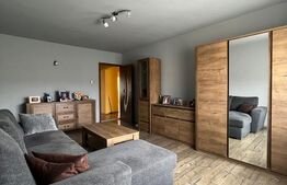 Apartament cu 2 camere, 52 mp, recent renovat, zona Parcul Teilor 