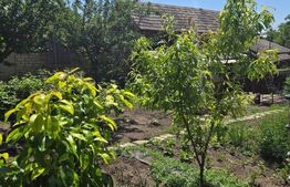 Casa cu 3 camere , 95 mp, zona Libertatii