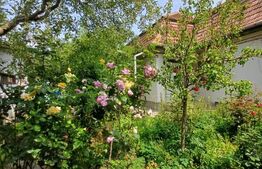 Casa de vânzare 4 camere Sud-Est - 170168CV | BLITZ Turda | Poza1