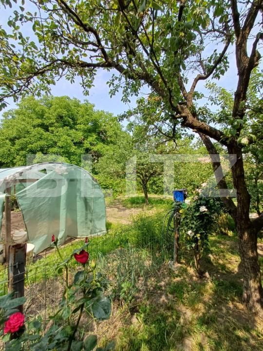 Casa de vânzare 5 camere Central - 172044CV | BLITZ Turda | Poza6