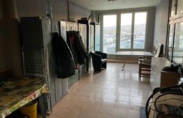 Hala cu cladire birouri, 14400 mp teren, in Copaceni