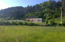 Casa individuala la rosu, 247 mp, teren 5000 mp in Surduc 