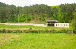 Casa individuala la rosu, 247 mp, teren 5000 mp in Surduc 