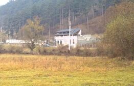 Casa individuala la rosu, 247 mp, teren 5000 mp in Surduc 