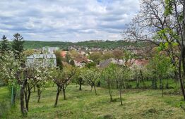 Proprietate cu 1682 mp teren, in Turda Noua
