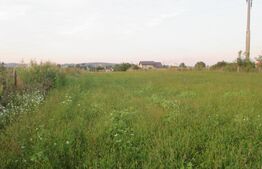 Teren intravilan 6000 mp cu 2 fronturi, parcelabil 