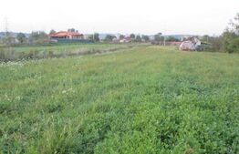 Teren intravilan 6000 mp cu 2 fronturi, parcelabil 