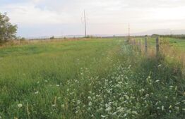 Teren intravilan 6000 mp cu 2 fronturi, parcelabil 