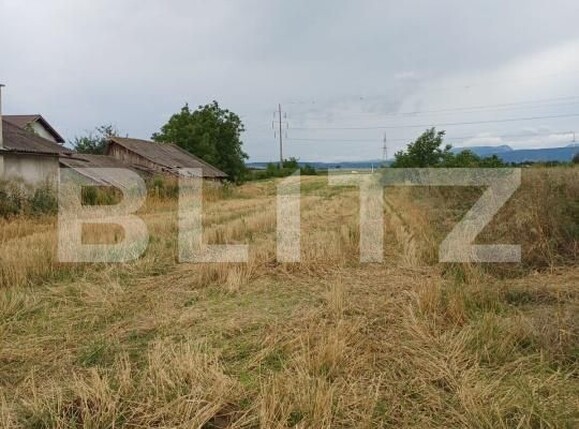 Teren de vânzare Sud - 174877TV | BLITZ Turda | Poza7