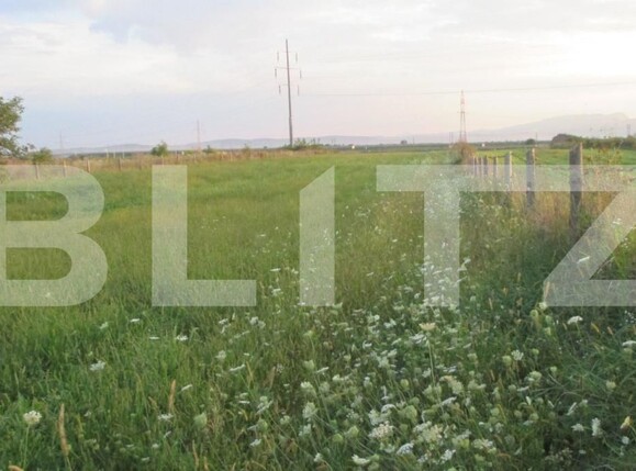 Teren de vânzare Sud - 174877TV | BLITZ Turda | Poza1
