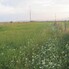 Teren de vânzare Sud - 174877TV - Poza 1 din 8 | BLITZ Turda | Poza8