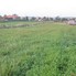 Teren de vânzare Sud - 174877TV - Poza 1 din 8 | BLITZ Turda | Poza1