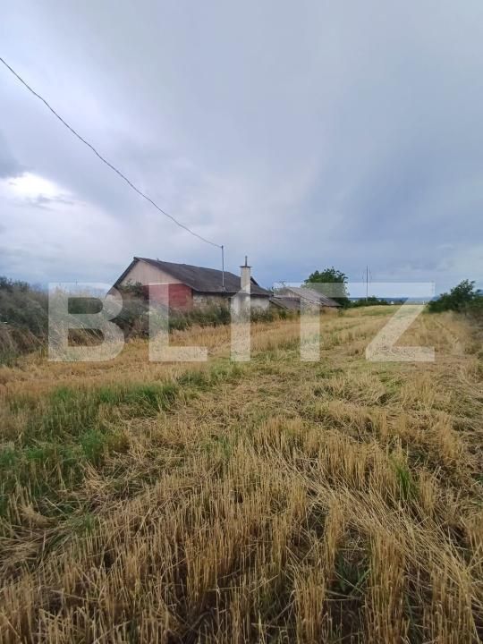 Teren de vânzare Sud - 174877TV | BLITZ Turda | Poza6