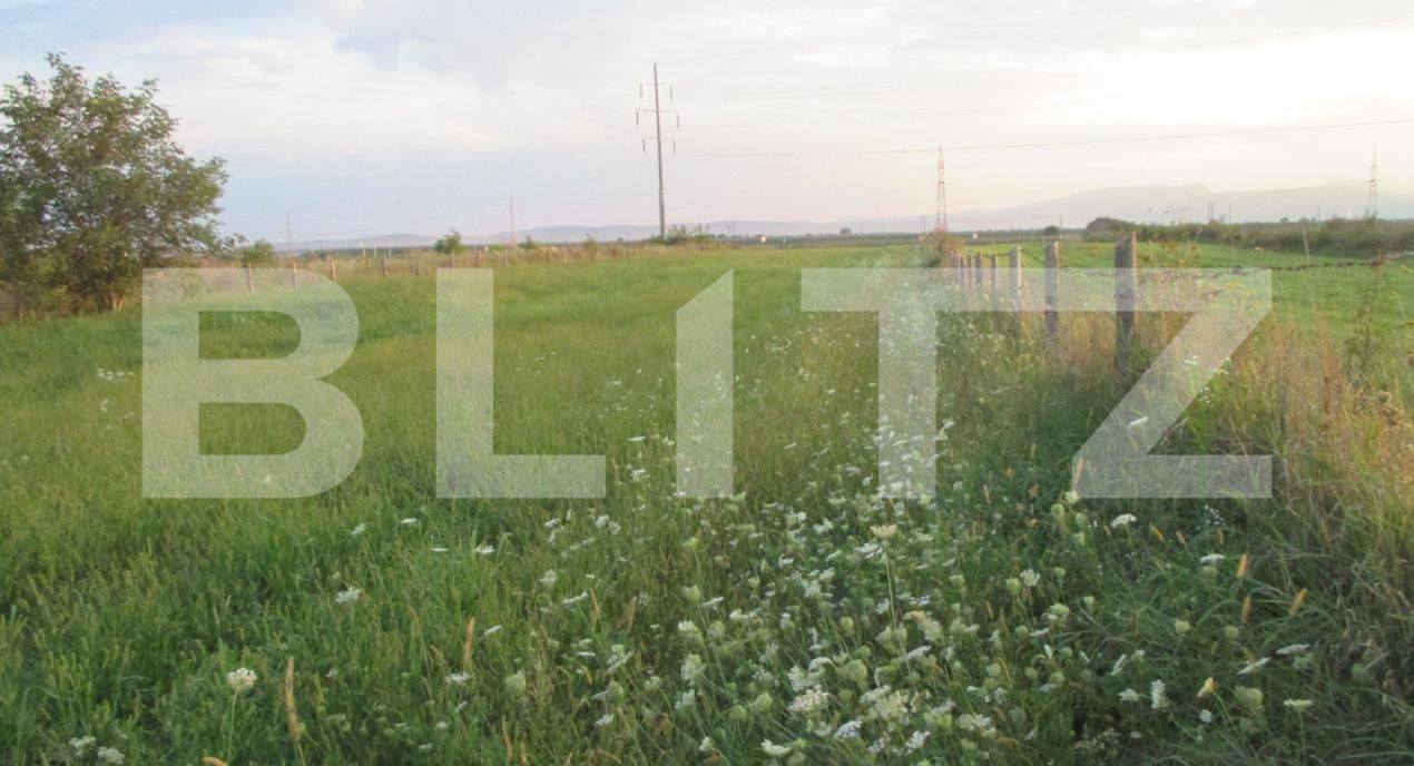 Teren de vânzare Sud - 174877TV | BLITZ Turda | Poza1