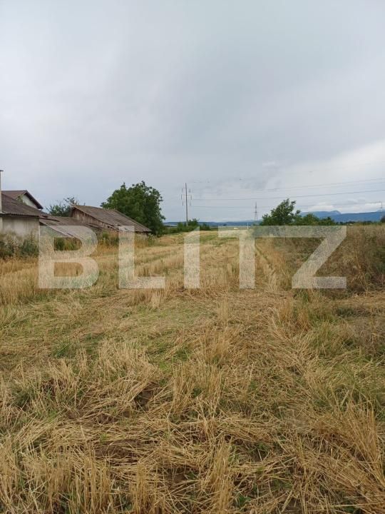 Teren de vânzare Sud - 174877TV | BLITZ Turda | Poza7