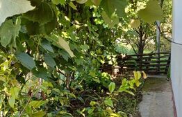 Casa renovabila, 2 camere, zona Cetate