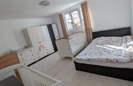 Casa renovabila, 2 camere, zona Cetate