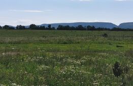 Casa renovabila, 2 camere, zona Cetate