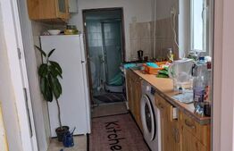 Casa renovabila, 2 camere, zona Cetate