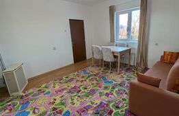 Casa renovabila, 2 camere, zona Cetate