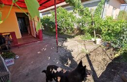 Casa renovabila, 2 camere, zona Cetate