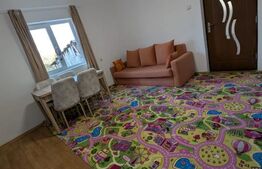 Casa renovabila, 2 camere, zona Cetate