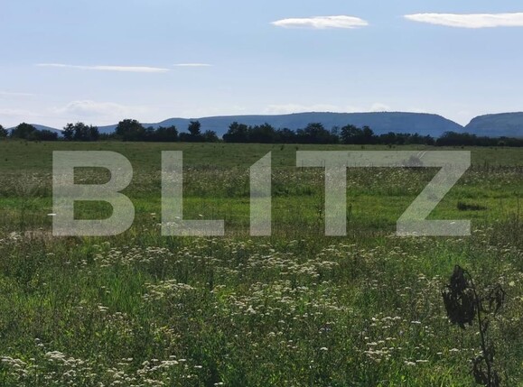 Casa de vânzare 2 camere Nord-Vest - 175007CV | BLITZ Turda | Poza14