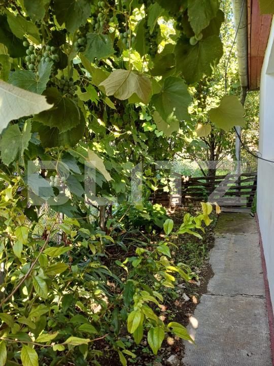 Casa de vânzare 2 camere Nord-Vest - 175007CV | BLITZ Turda | Poza4