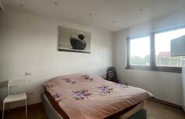 Casa cu 5 camere, 217 mp utili, 1396 mp teren, Cartierul Primaverii