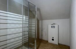 Casa cu 5 camere, 217 mp utili, 1396 mp teren, Cartierul Primaverii