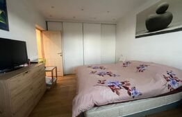 Casa cu 5 camere, 217 mp utili, 1396 mp teren, Cartierul Primaverii