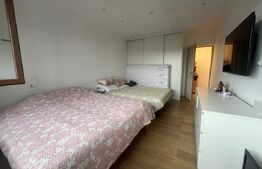 Casa cu 5 camere, 217 mp utili, 1396 mp teren, Cartierul Primaverii