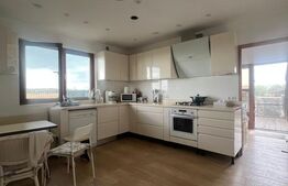 Casa cu 5 camere, 217 mp utili, 1396 mp teren, Cartierul Primaverii