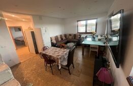 Casa cu 5 camere, 217 mp utili, 1396 mp teren, Cartierul Primaverii