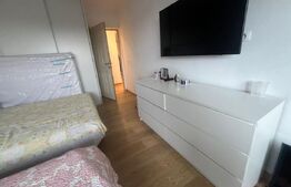 Casa cu 5 camere, 217 mp utili, 1396 mp teren, Cartierul Primaverii