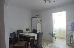 Apartament 2 camere, complet renovat - Parcul Teilor