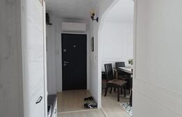 Apartament 2 camere, complet renovat - Parcul Teilor