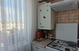 Apartament 2 camere, complet renovat - Parcul Teilor
