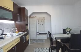 Apartament 2 camere, complet renovat - Parcul Teilor