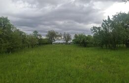 Teren intravilan 2691 mp, aproape de zona centrala