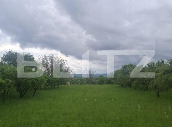 Teren de vânzare Vest - 175429TV | BLITZ Turda | Poza5